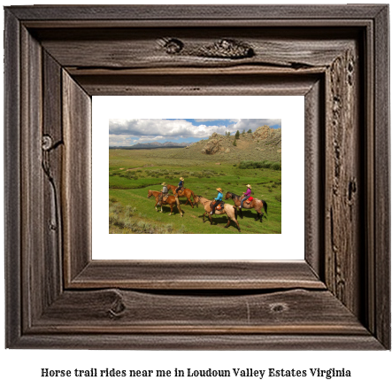 horse trail rides near me in Loudoun Valley Estates, Virginia